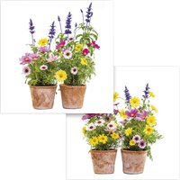 Komar Fenstersticker Springtime Blumen Springtime B/L: ca. 31x31 cm von Komar