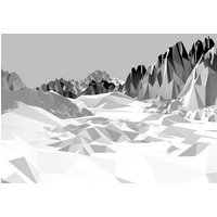 Komar Fototapete Icefields 8-208 grauschwarz weiß B/H: ca. 368x254 cm von Komar