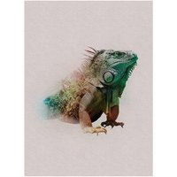 Komar Poster Animals Paradise Iguana von Komar