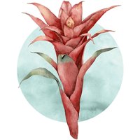Komar Poster Funky Flower Blume B/L: ca. 40x50 cm von Komar