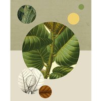 Komar Poster Green Structure Pflanzen B/L: ca. 40x50 cm von Komar