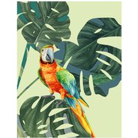 Komar Poster Green-Winged Macaw von Komar