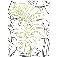 Komar Wandbild Monstera Borsigiana Pflanzen B/L: ca. 40x50 cm von Komar