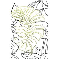 Komar Wandbild Monstera Borsigiana Pflanzen B/L: ca. 50x70 cm von Komar