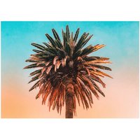 Komar Poster Palm Tree Palmen B/L: ca. 50x40 cm von Komar