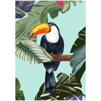 Komar Poster Toco Toucan Komar Poster Toco Toucan von Komar