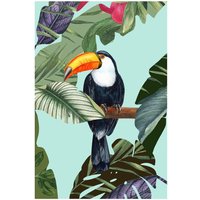 Komar Poster Toco Toucan Komar Poster Toco Toucan von Komar