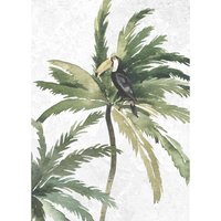 Komar Poster Tropical Toucan von Komar