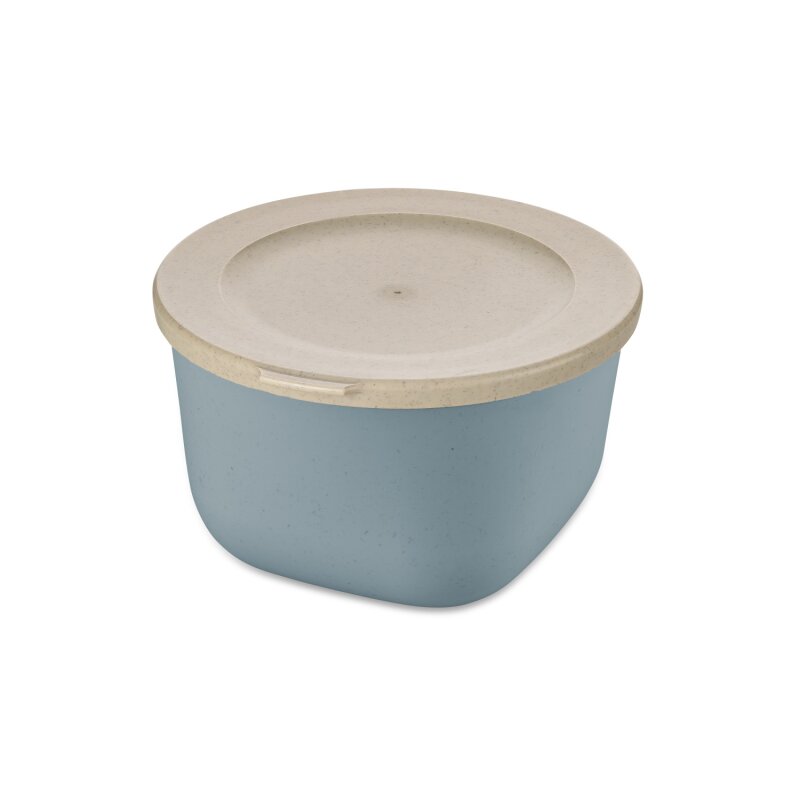 Koziol - Box mit Deckel - Connect Box - Flower Blue - 1 L