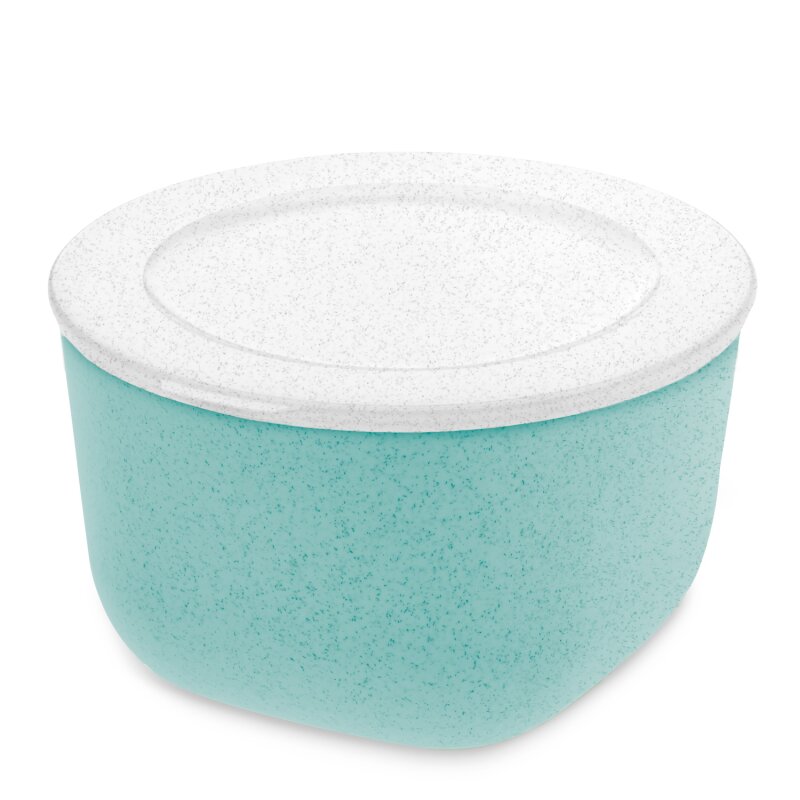 Koziol - Box mit Deckel - Connect Box - Organic Aqua - 1 L