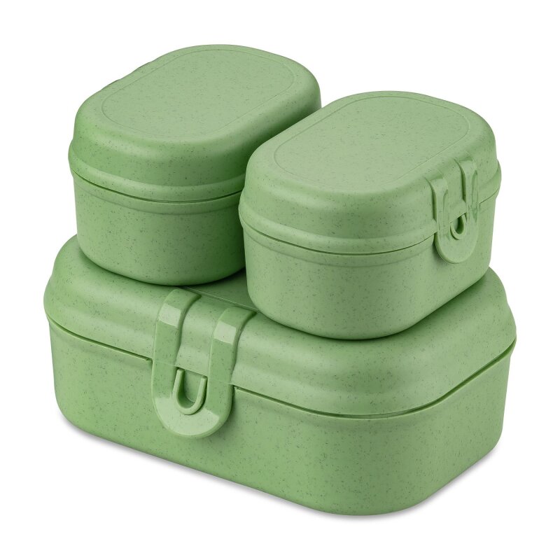 Koziol - Lunchbox - 3er Set - Pascal - Leaf Green