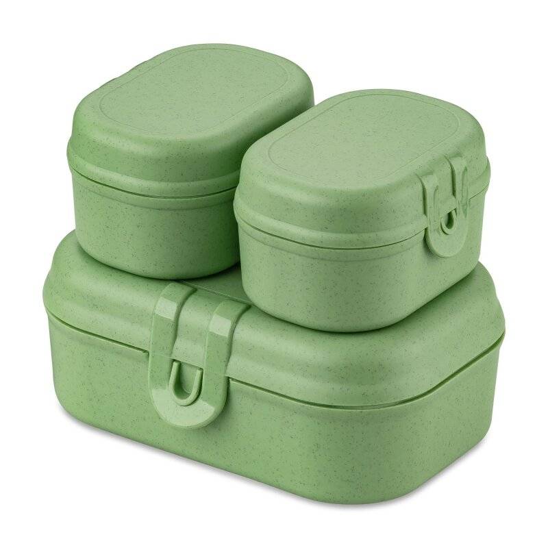 Koziol - Lunchbox - 3er Set - Pascal - Leaf Green