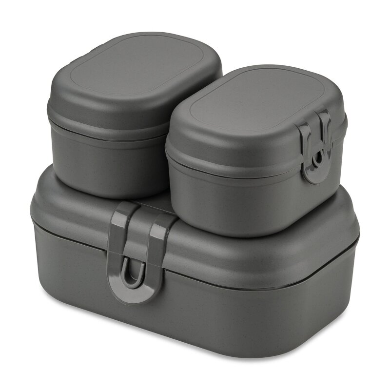 Koziol - Lunchbox - 3er Set - Pascal - Grau