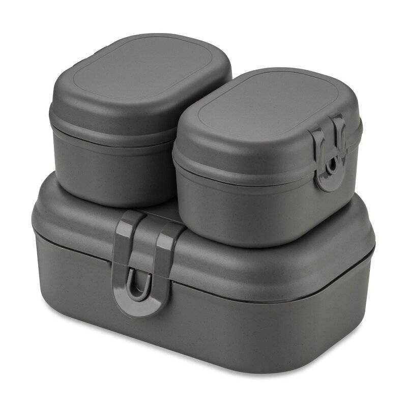 Koziol - Lunchbox - 3er Set - Pascal - Grau
