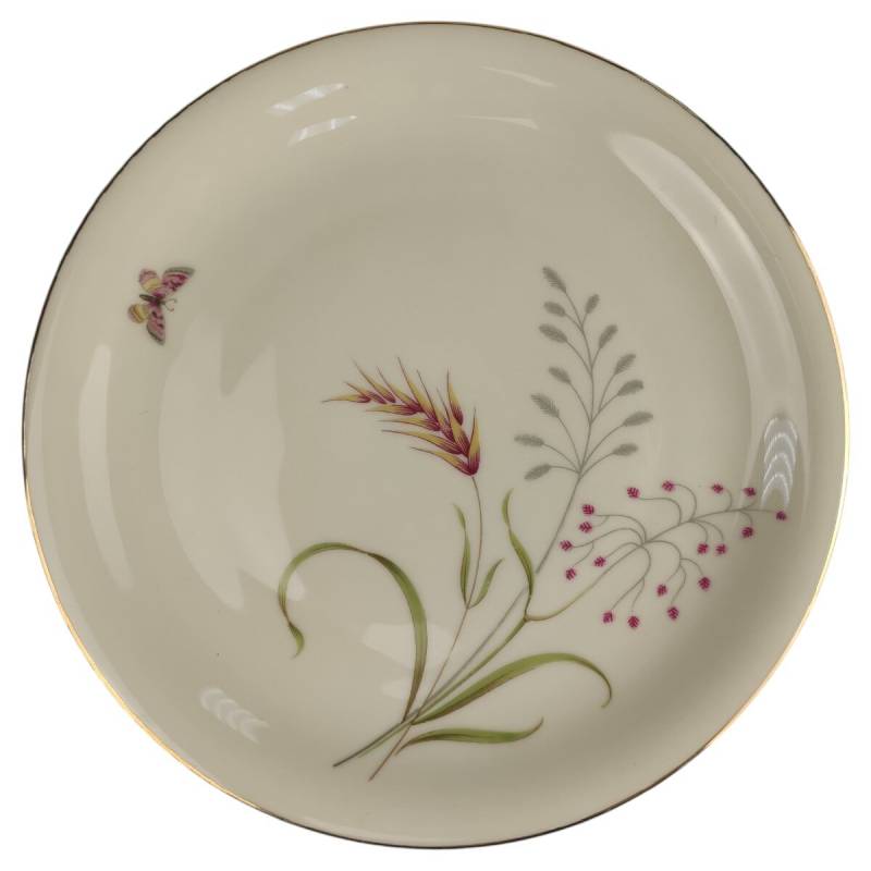 Kuchenteller Dessertteller Frühstücksteller Goldrand Rosenthal Selb Floral Schmetterling gebraucht - sehr gut