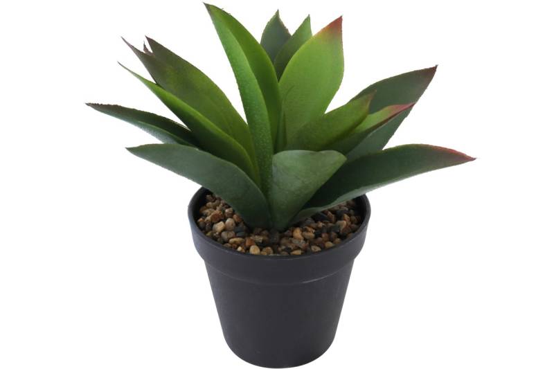 Künstliche Aloe Vera im Topf mit Steindeko Höhe 22 cm Pflanze grün