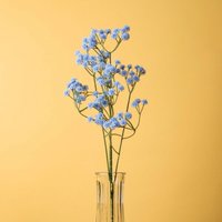 Künstlicher Zweig cladel hellblau 63 cm 842479 Künstlicher Zweig cladel hellblau 63 cm 842479 von HOMLA