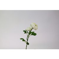 Kunstblume Ranunkel 49,5 cm lang weiss von Werner Voss