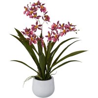 Kunstpflanze Cambria-Orchidee rosa Kunststoff B/H/L: ca. 17x55x17 cm von XXXL
