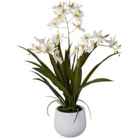 Kunstpflanze Cambria-Orchidee weiß Kunststoff B/H/L: ca. 17x55x17 cm von XXXL