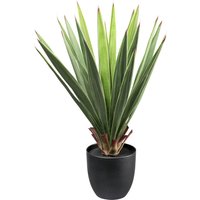 Kunstpflanze Dracaena grün Kunststoff B/H/L: ca. 20x68x20 cm von XXXL
