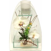 I.GE.A. Kunstpflanze "Orchidee mit Teelichthalter 23/15 cm" von I.Ge.A.