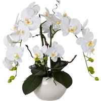 Kunstpflanze Orchideen-Arrangement weiß Kunststoff B/H/L: ca. 27x50x27 cm von XXXL