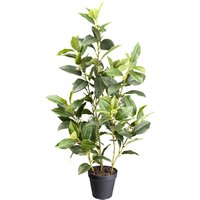 Kunstpflanze Osmanthus grün Kunststoff B/H/L: ca. 19x59x19 cm von XXXL