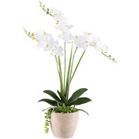 Kunstpflanze Phalaenopsis-Arrangement weiß Kunststoff B/H/L: ca. 17x55x17 cm von XXXL