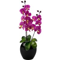 I.GE.A. Kunstpflanze "Phalaenopsis in Vase" von I.Ge.A.