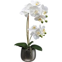 Kunstpflanze Phalaenopsis weiß Kunststoff B/H/L: ca. 16x42x17 cm von XXXL