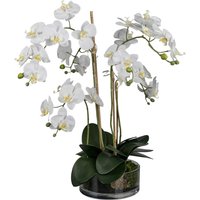 Kunstpflanze Phalaenopsis weiß Kunststoff B/H/L: ca. 27x50x27 cm von XXXL