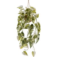 Kunstpflanze Syngonium Podophyll. Albo Variegata weiß Kunststoff B/H/L: ca. 19x59x19 cm von XXXL