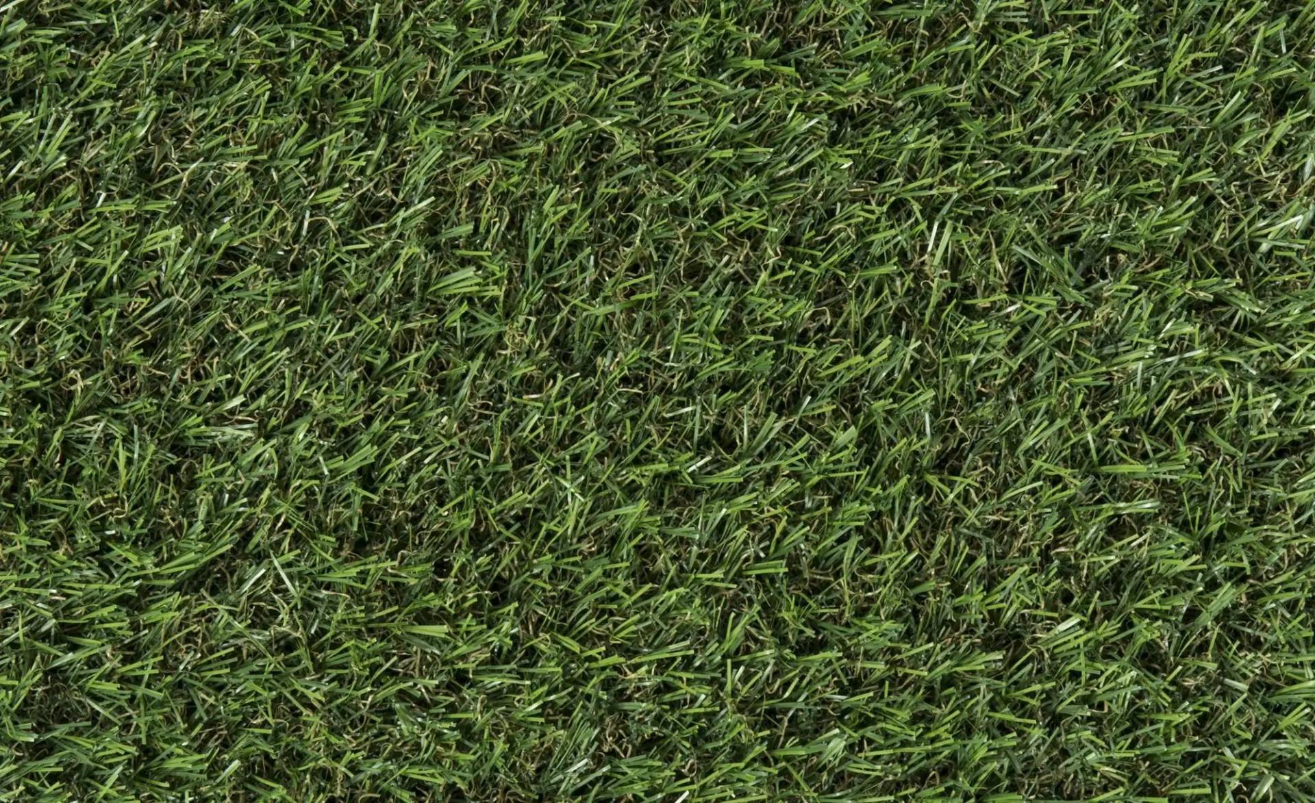 Kunstrasen   ¦ grün ¦ Synthetische Fasern ¦ Maße (cm): B: 100 Garten > Garten-Zubehör > Outdoor Teppiche - Möbel Kraft
