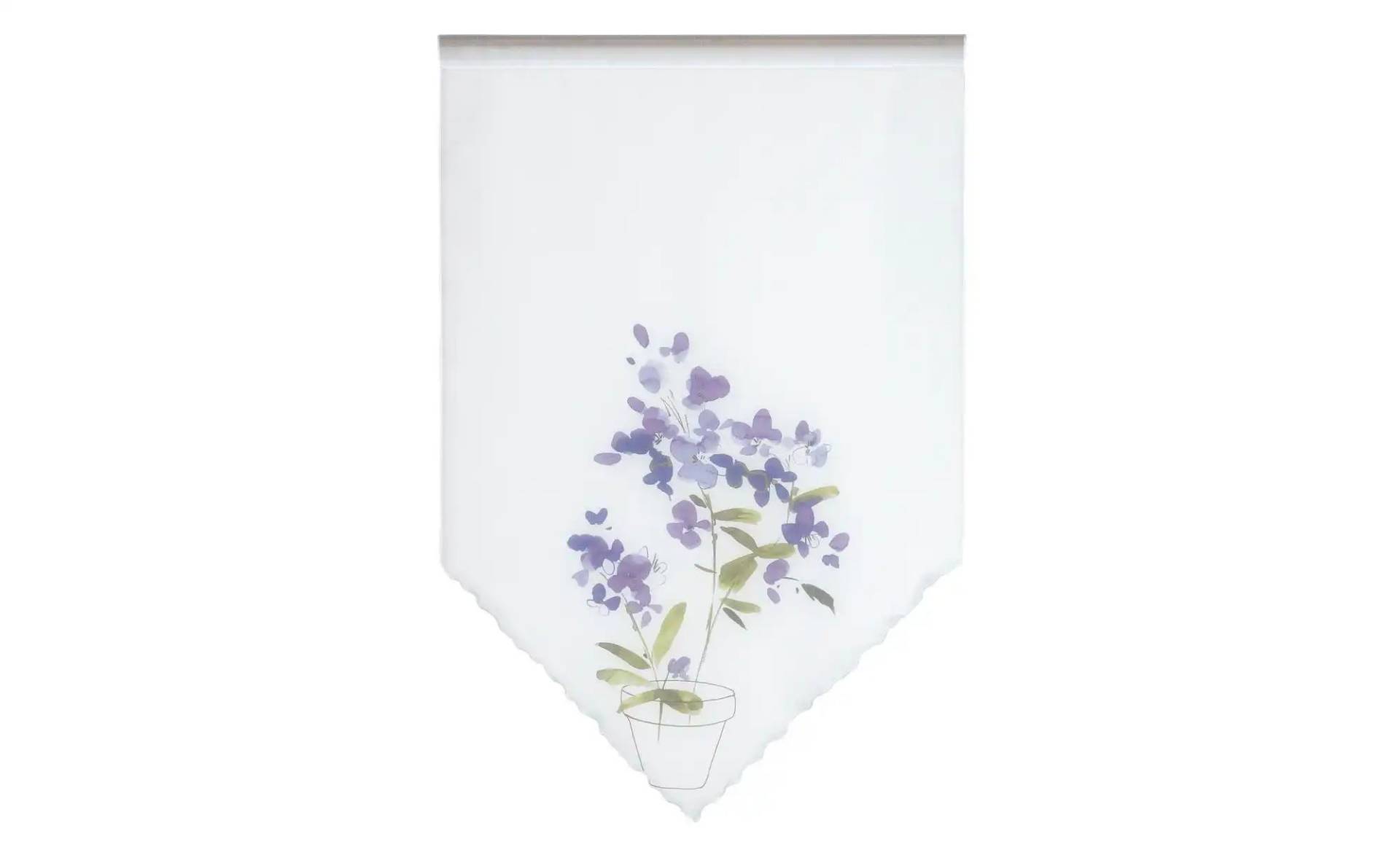 Kuvertstore   ¦ lila/violett ¦ Synthetik ¦ Maße (cm): B: 45 H: 90 Gardinen & Rollos > Gardinen & Vorhänge > Schiebegardinen - Höffner