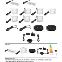 LED-Clips HARTFORD von Forestdream