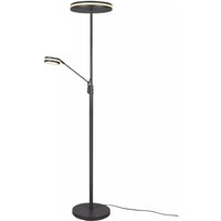 LED-Stehlampe Anthrazit 1 Stück Metall Dunkelgrau LED-Stehlampe Anthrazit 1 Stück Metall Dunkelgrau
