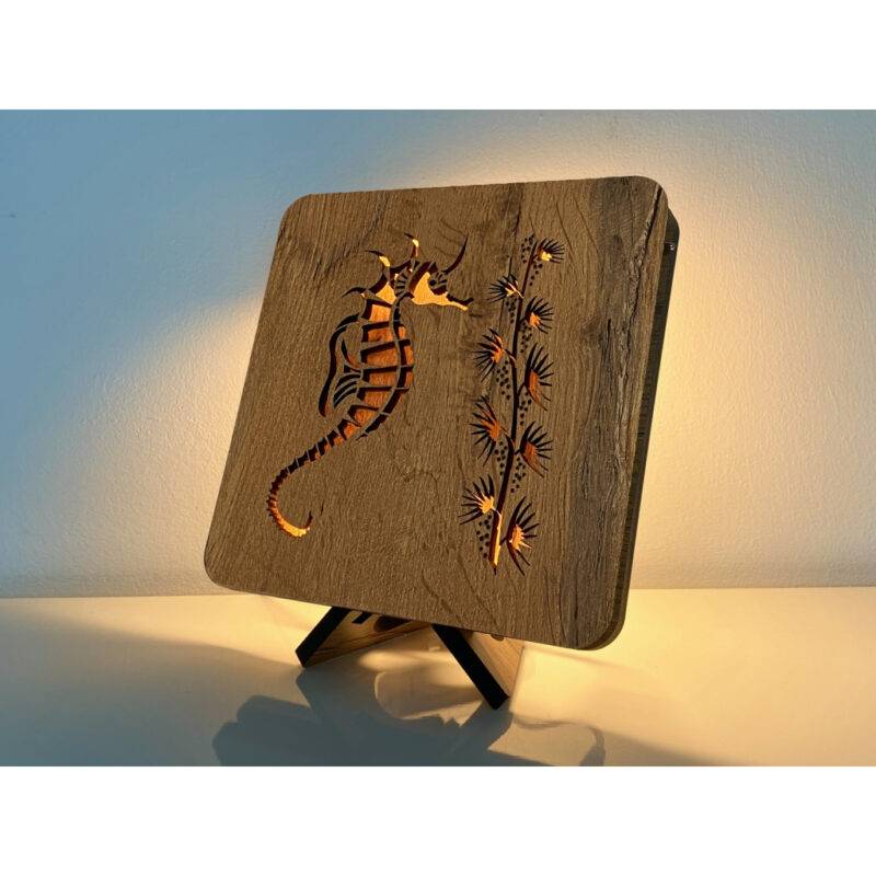 LED-Tischlampe "Seepferdchen" 19cm x 19cm