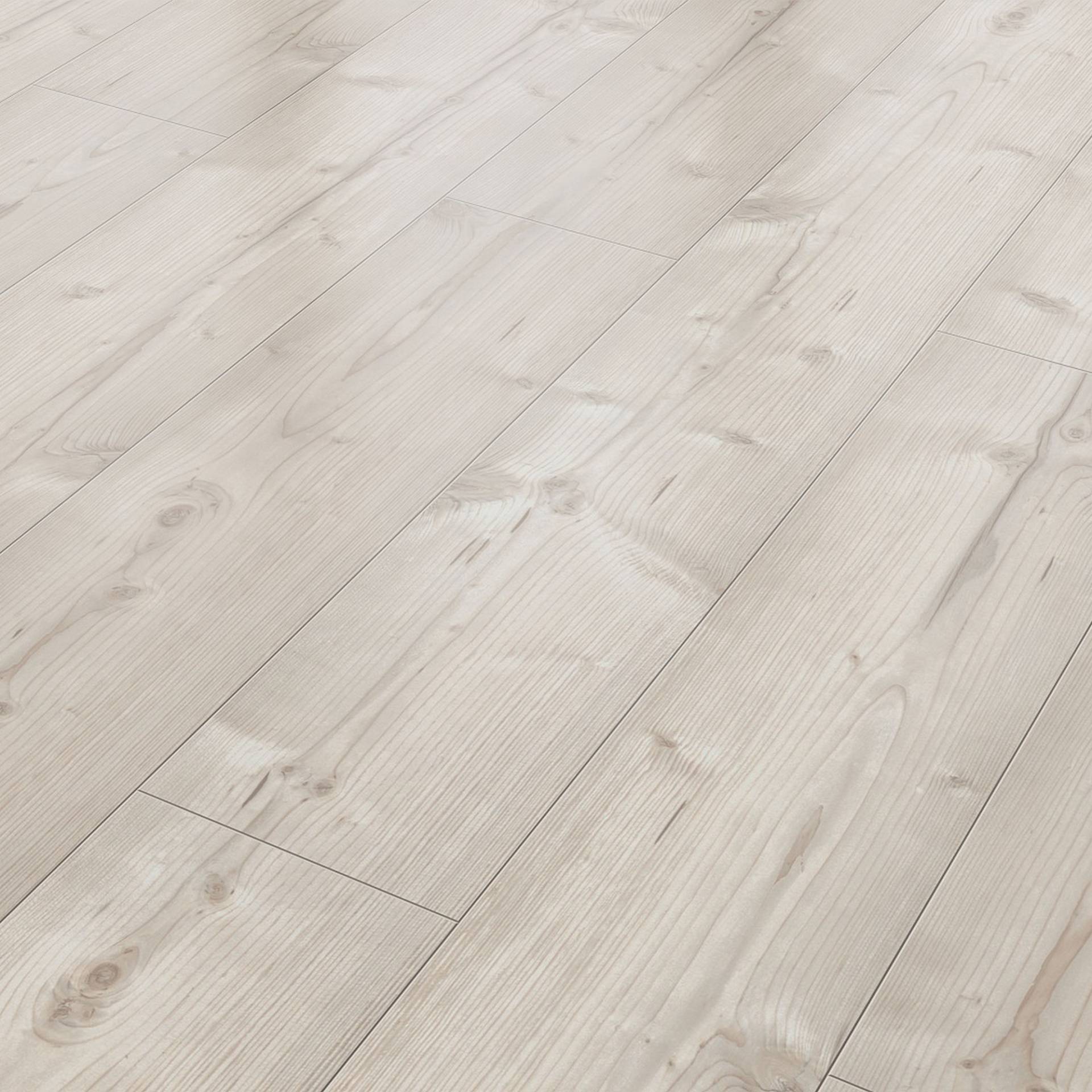 Classen Laminat 'Neutral' Pinie weiß 8 mm Classen Laminat 'Neutral' Pinie weiß 8 mm von Classen