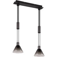Lange Hängelampe 2-flammig Rauchglas Metall Schwarz E27 von Trio