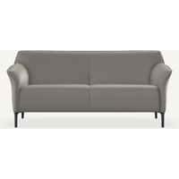 Ledersofa Grau 2,5-Sitzer 173 cm breit von Leolux Mayon