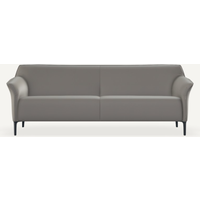 Ledersofa Grau 3,5-Sitzer 223 cm breit von Leolux Mayon