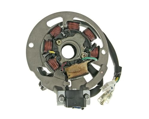 Lichtmaschine Zündung Stator für CPI Keeway Generic Sachs ATU 50 von SP