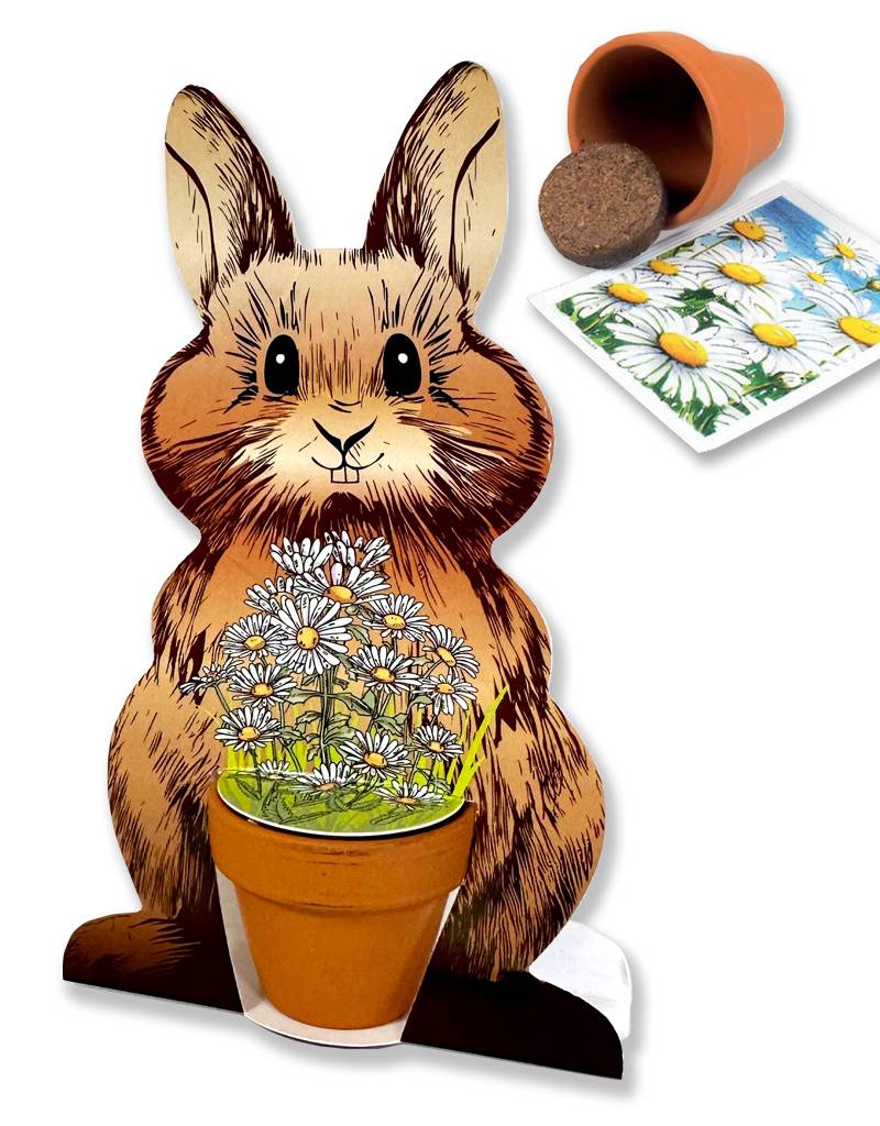 M?mmelmann mit Blumenstrau? - Anzuchtset