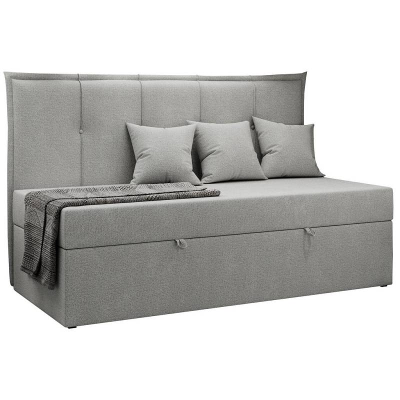 MKS BOXBETT Hellgrau