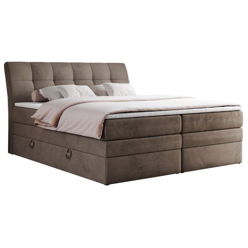 MKS BOXSPRINGBETT Braun