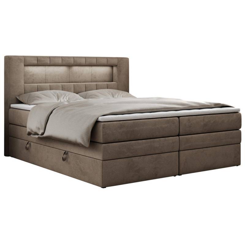 MKS BOXSPRINGBETT Braun