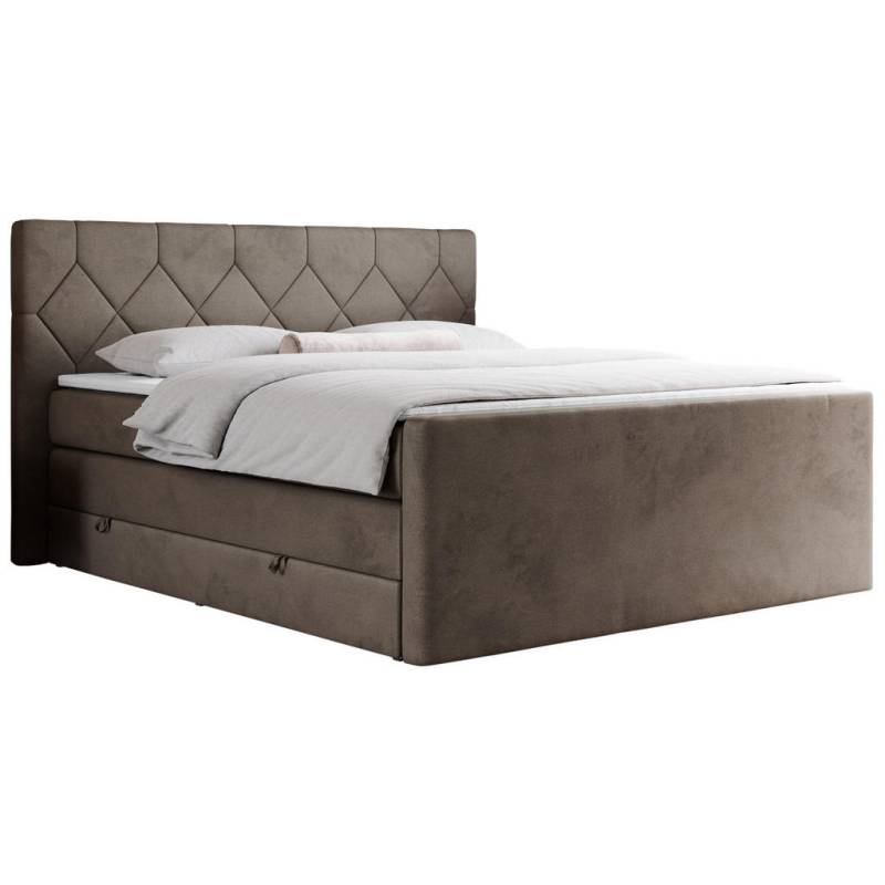 MKS BOXSPRINGBETT Braun