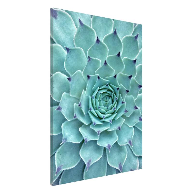Magnettafel - Hochformat 2:3 Kaktus Agave