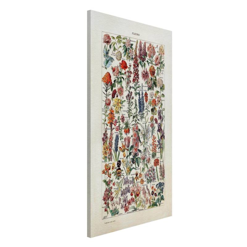 Magnettafel - Hochformat 3:4 Vintage Lehrtafel Blumen V